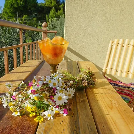 Villa Anio - Rustic Modern With Sea And Mountain View Terrace Svoronata