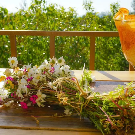 Anio - Rustic Modern With Sea And Mountain View Terrace Svoronata